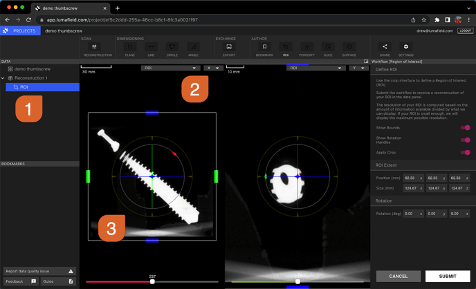 ROI-Workflow1